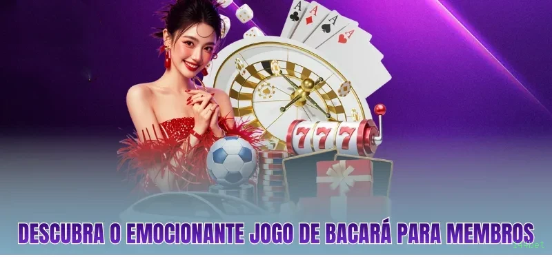 144bet